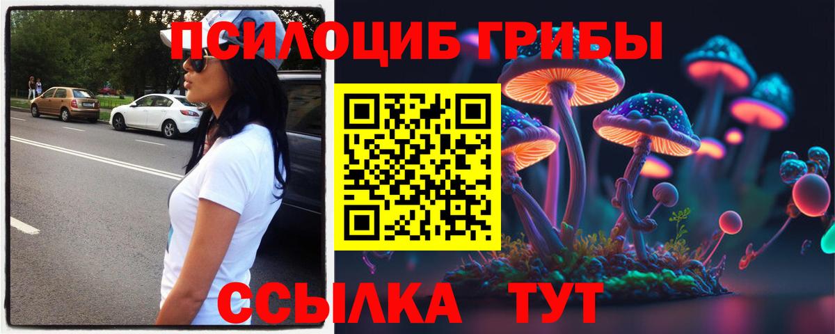 Донецк  Псилоцибиновые грибы Psilocybe  Псилоцибиновые грибы Psilocybine cubensis  цены наркотик  Вход с VPN 